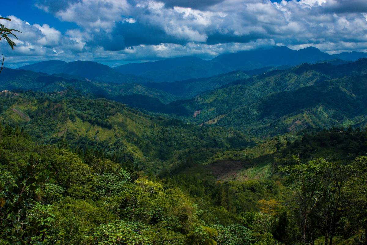 Montañas y bosques verdes de República Dominicana